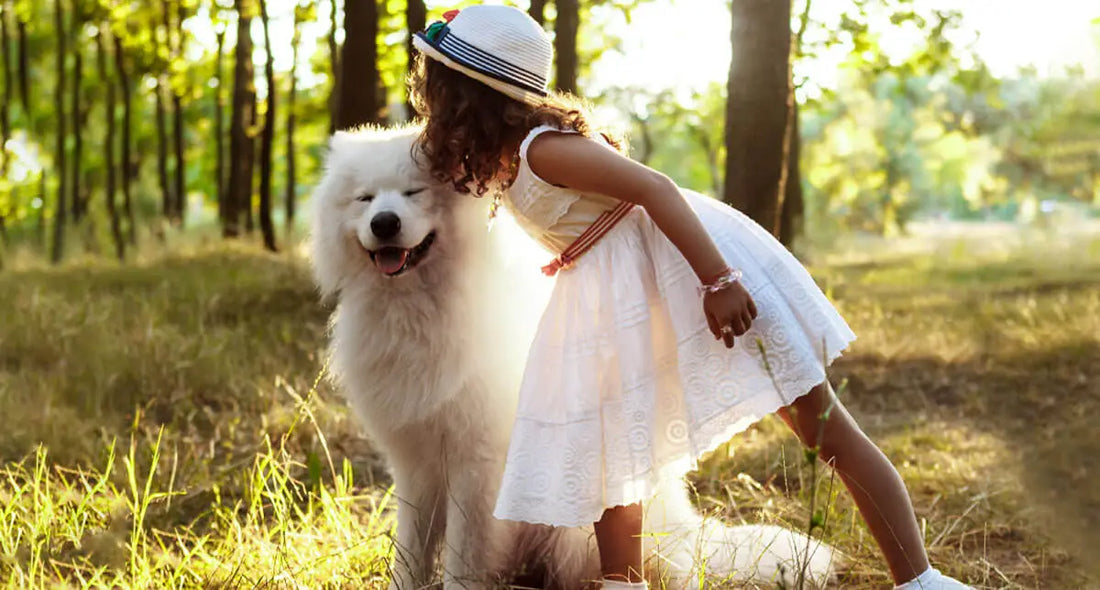 Die 30 schönsten Hundesprüche