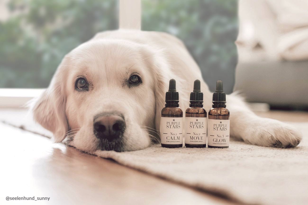 pflanzliche produkte naturprodukte hunde