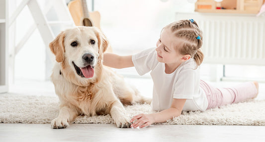 Das Zusammenleben von Kindern und Hunden kann eine wunderbare Erfahrung sein, die das Leben bereichert.