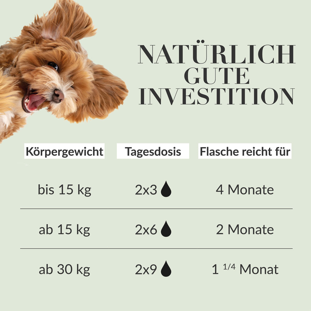 No.1 CALM – NATÜRLICHES BERUHIGUNGSMITTEL HUNDE